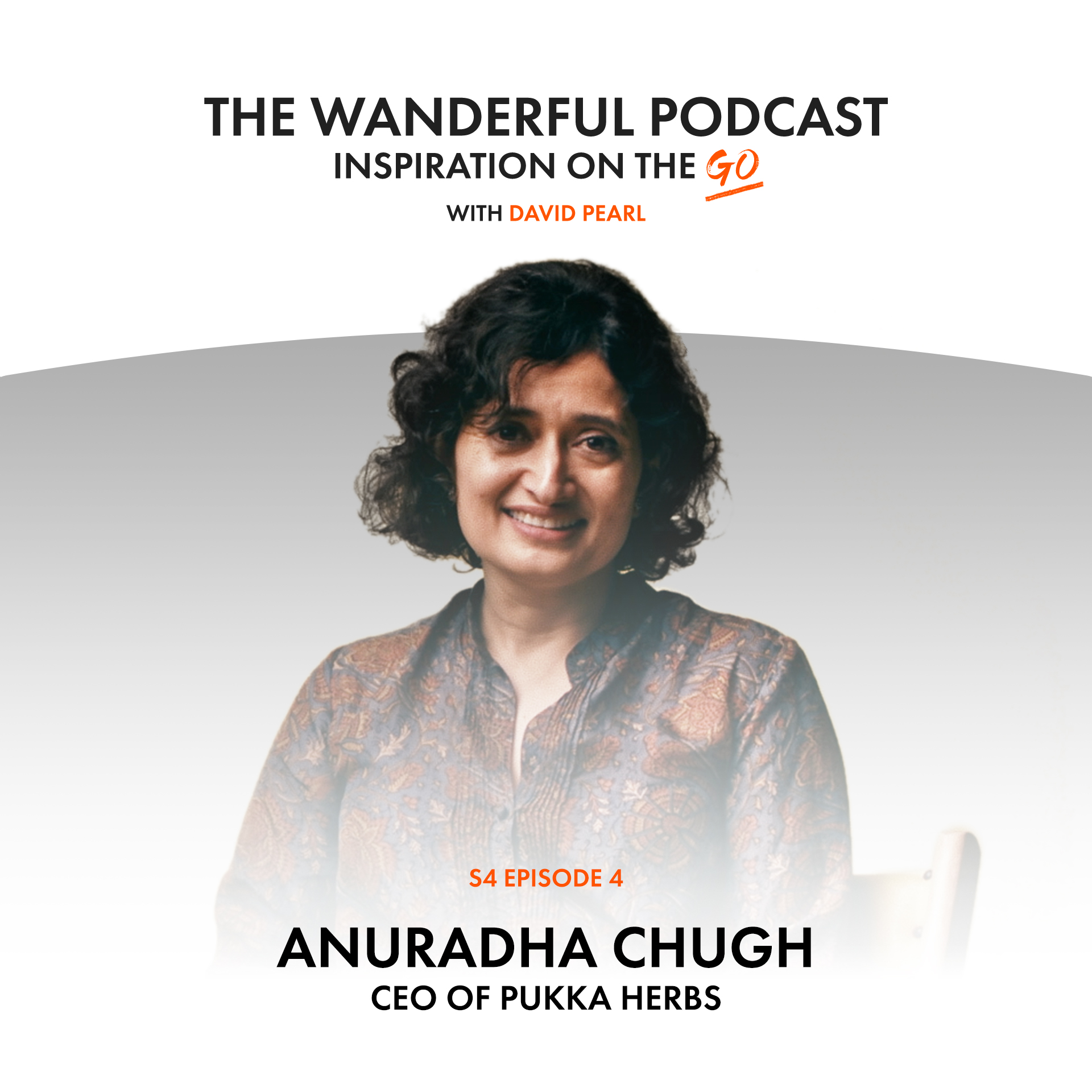 Anuradha Chugh: The Wanderful Podcast with David Pearl